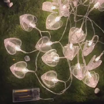 SweetShine Lights – Multicolor LED Fairy String Lights, USB/Battery Powered for Home, Bedroom, Garden, Party & Festival Decoration